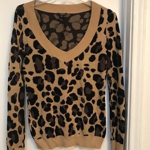 Express V Neck Sweater